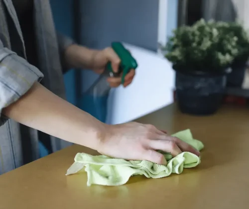 Professional cleaning company in Hapeville, GA