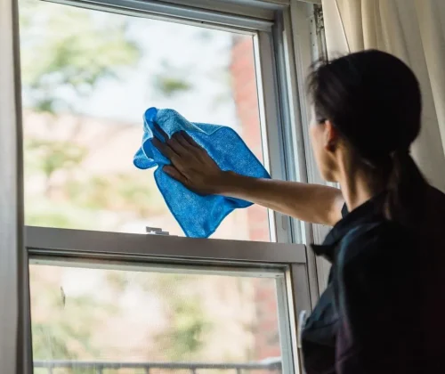 Professional cleaning company in Lake City, GA