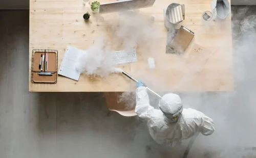 Professional cleaning company in Lake City, GA
