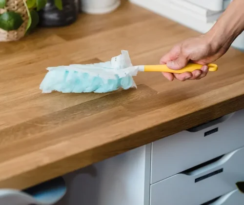 Professional cleaning company in Palmetto, GA