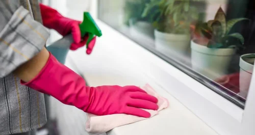 Professional cleaning company in Red Oak, GA