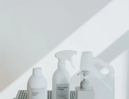 Professional cleaning company in Red Oak, GA