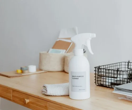 Professional cleaning company in Stockbridge, GA