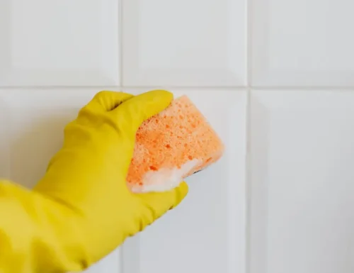 Professional cleaning company in Stockbridge, GA